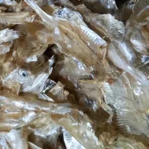 

ikan asin pakang 100 g ( sangat tipis )