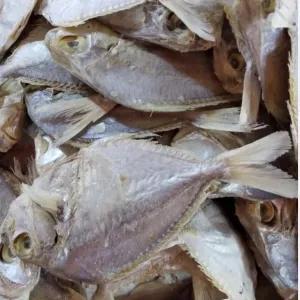 

ikan asin petek 250 gr
