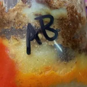 

bumbu halus ayam bakar 150 gr