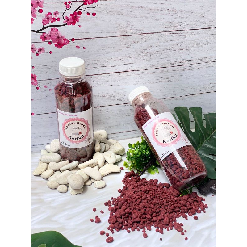 

terasi merah kerikil 320 gram