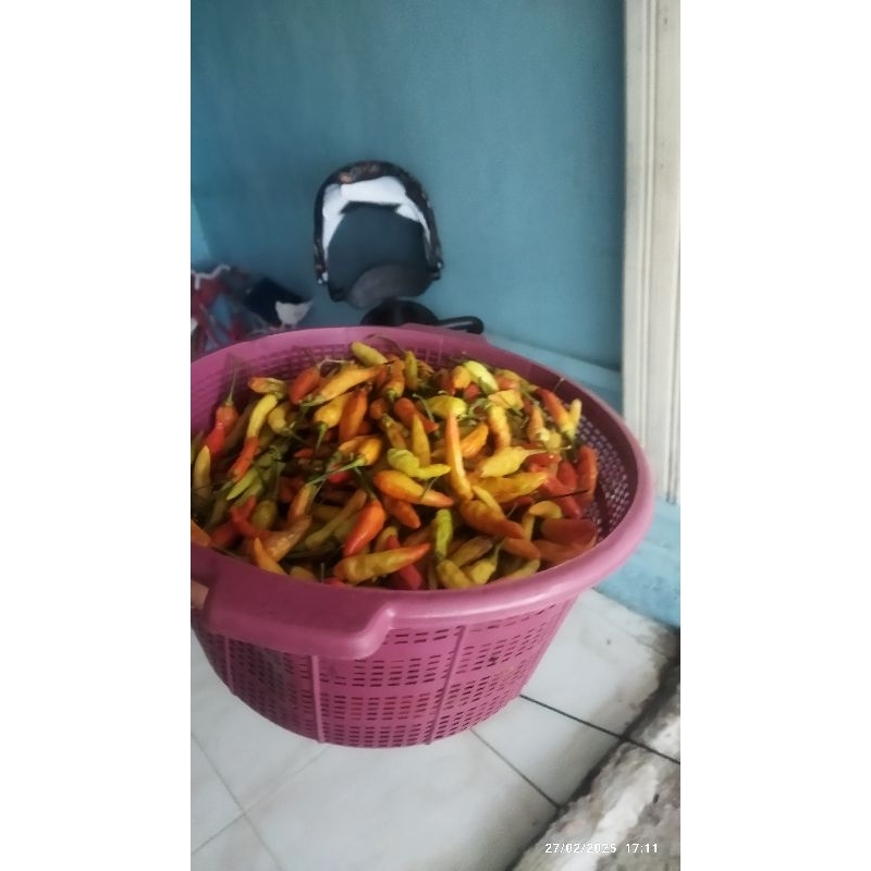 

cabe rawit 2 ons