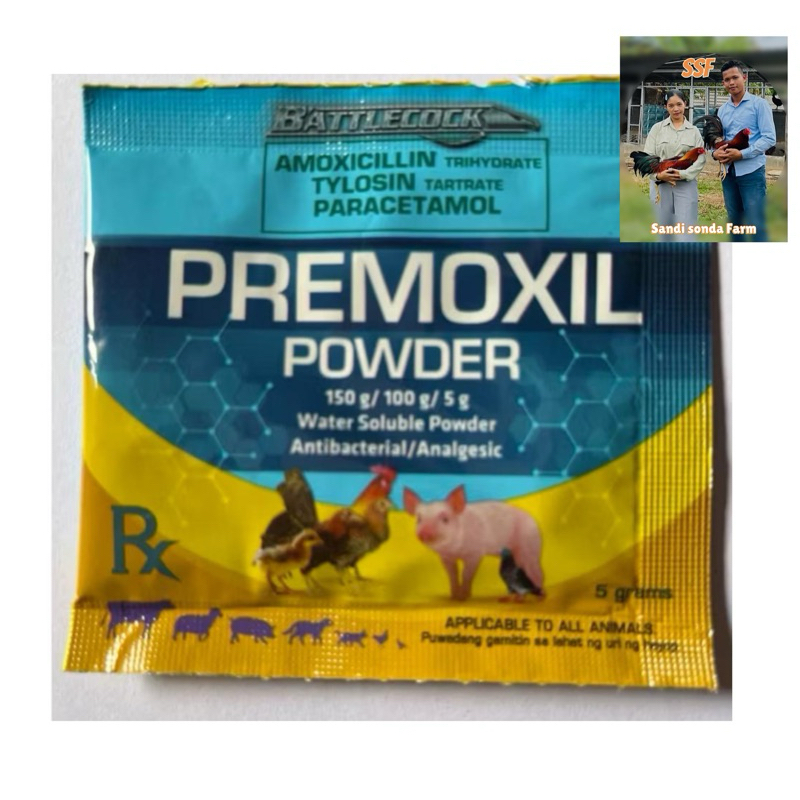 Premoxil POWDER Obat ayam pilek ngorok dan berak hijau