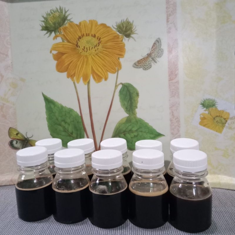 

madu lebah asli madu nextar akasia 50ml
