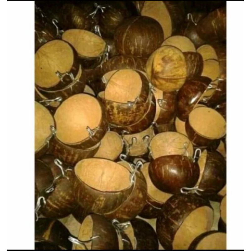 batok kelapa ,tempat makan dan minum
