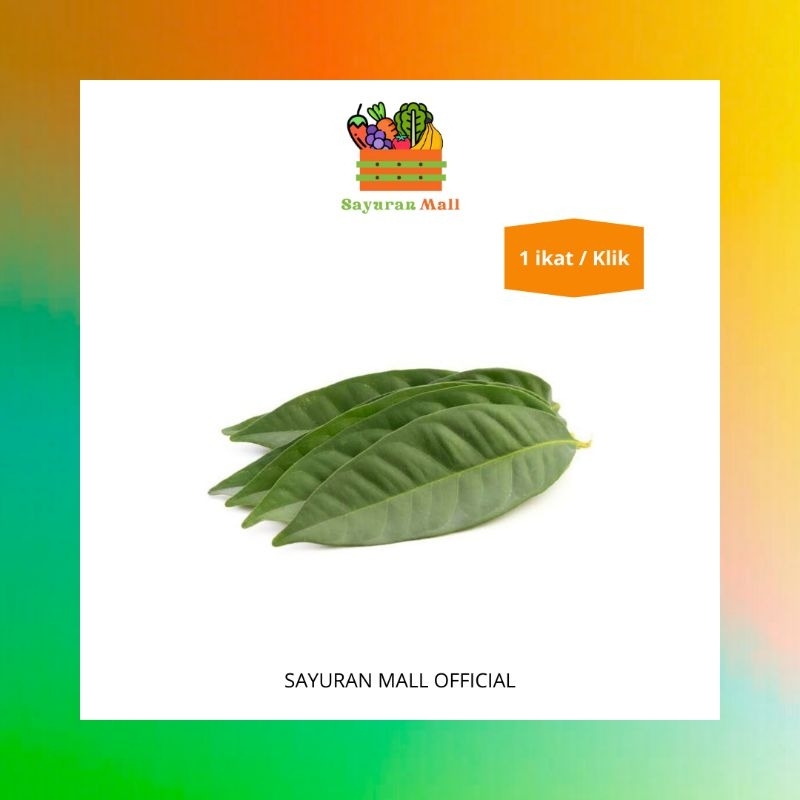 

1 ikat Daun Salam SEGAR | Bumbu Rempah | SAYURANMALL
