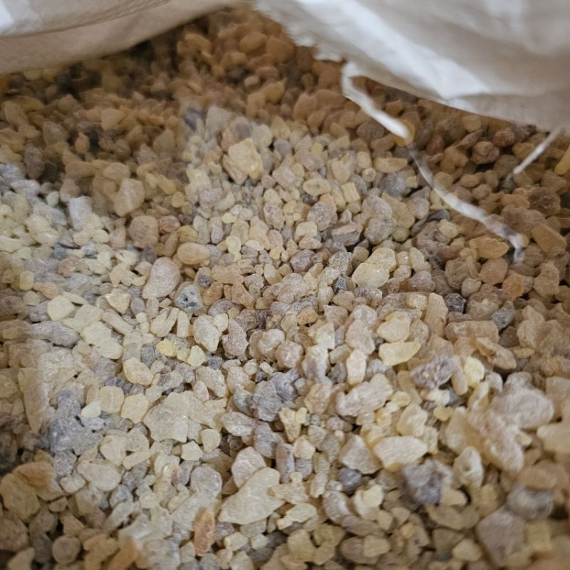 Techtopia01 Kemenyan Menyan Arab 100 Gram Luban Gum Arab Frankincense Olibanum 100 Gram