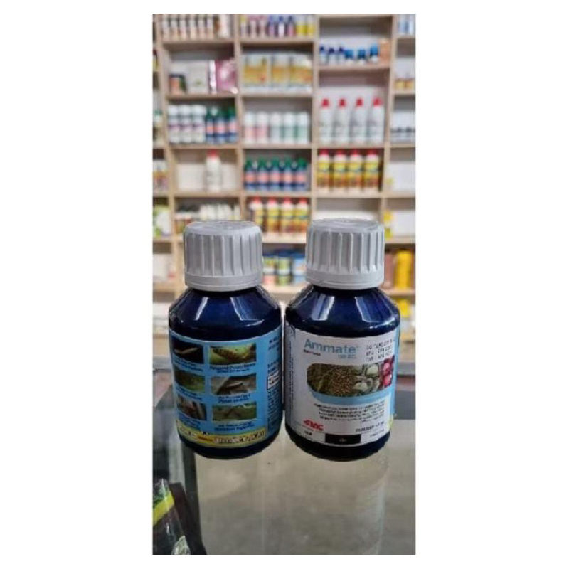 AMMATE 100ML