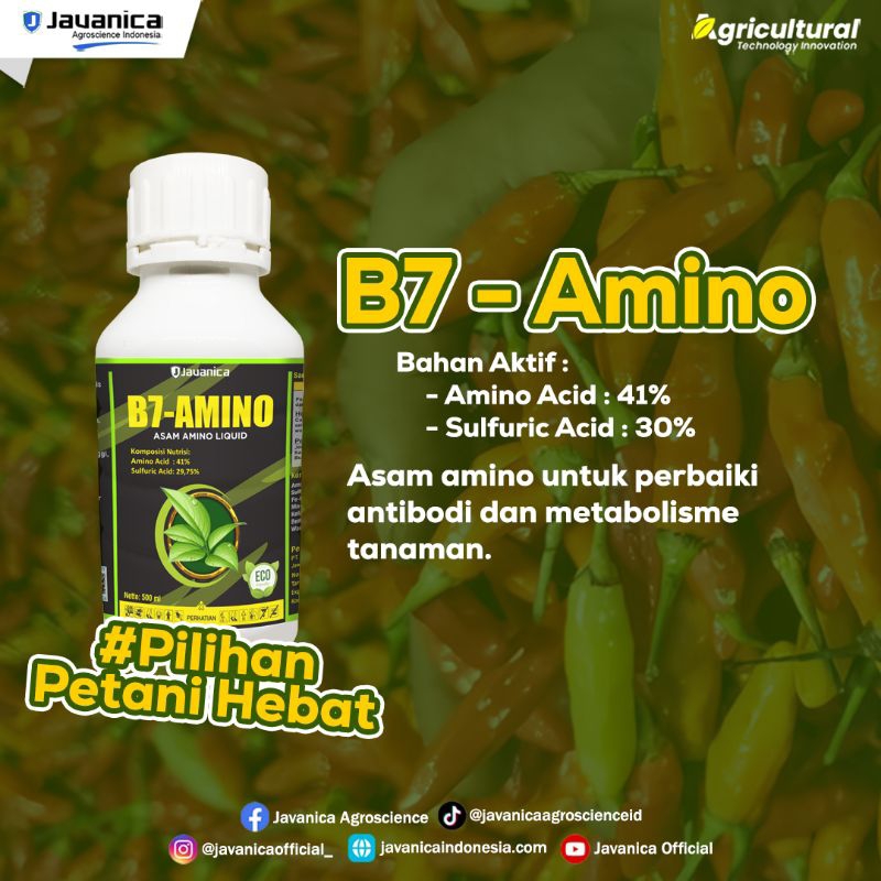 B7 Amino (Asam Amino Liquid)
