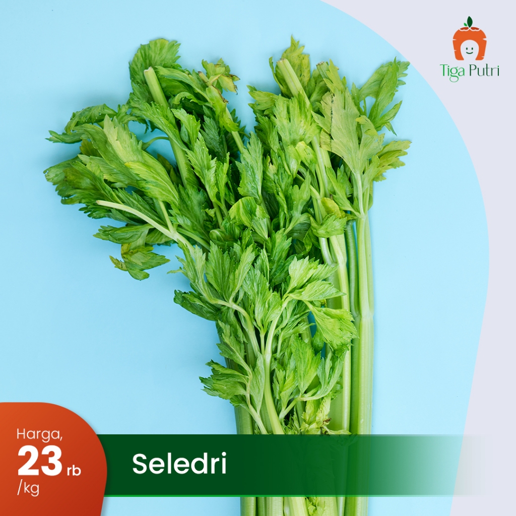 

Daun Seledri Mentah Segar