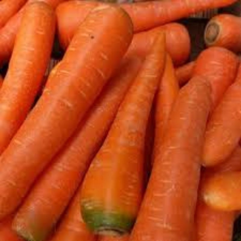 

Sayur Wortel Lokal Super Segar 500 gram & 1kg