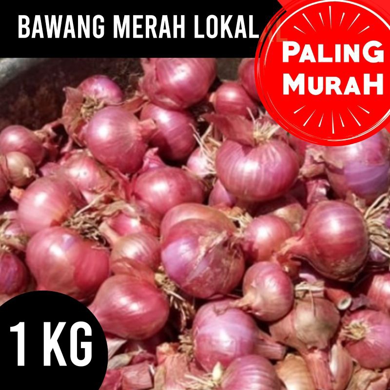 

Bawang Merah Lokal Satu Kilo