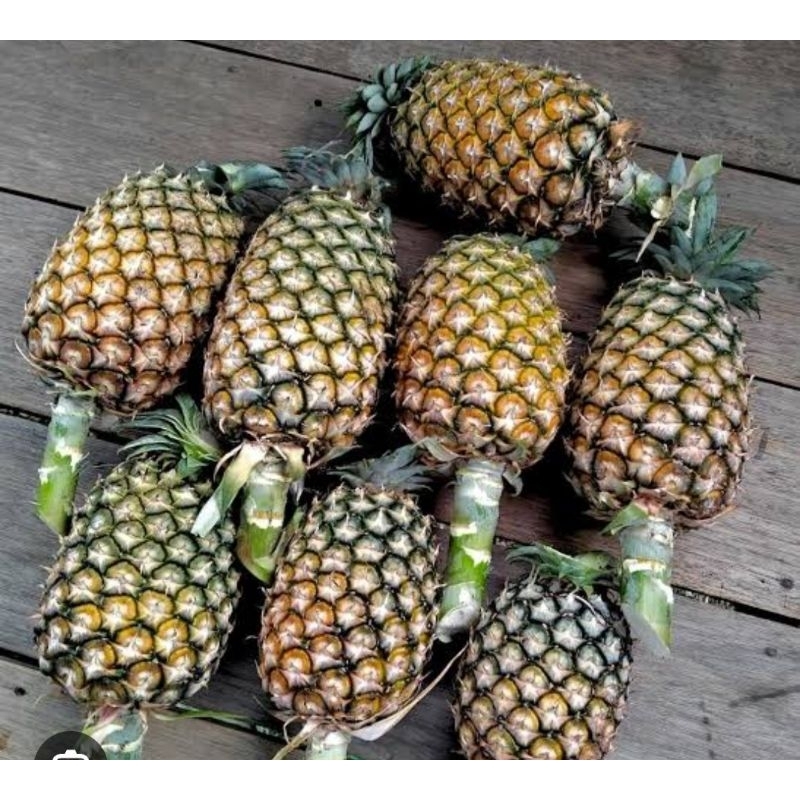 

nanas madu 1 buah