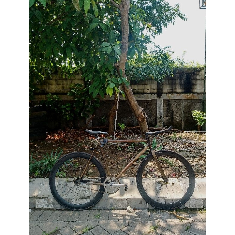 Sepeda Fixie Doltrap