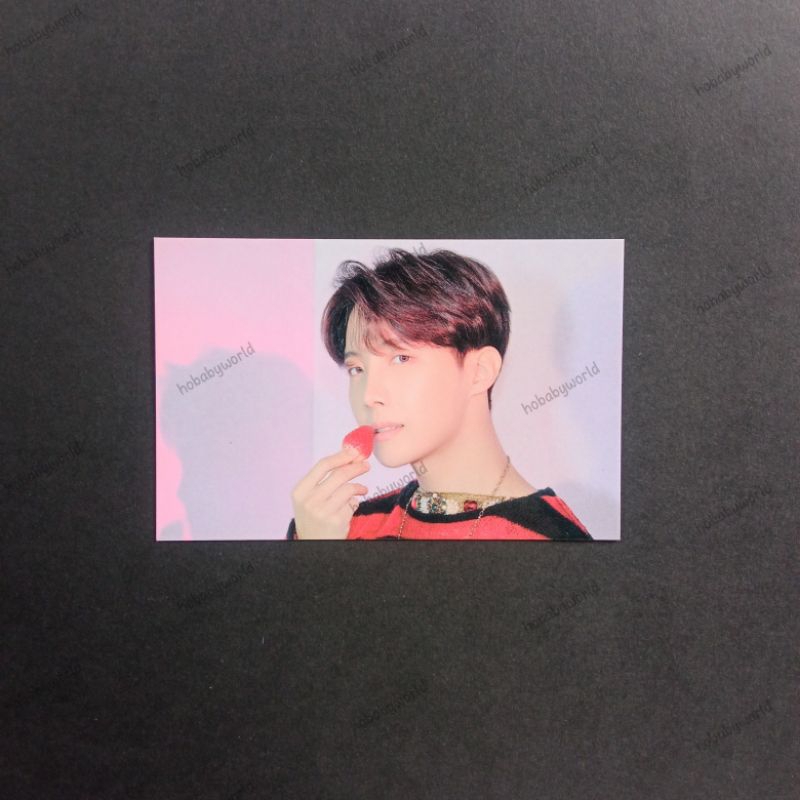 official pc bts pop up : house of bts j-hope