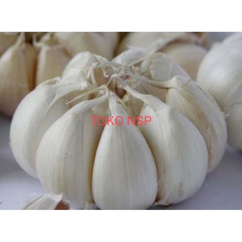 

bawang putih 250 gr