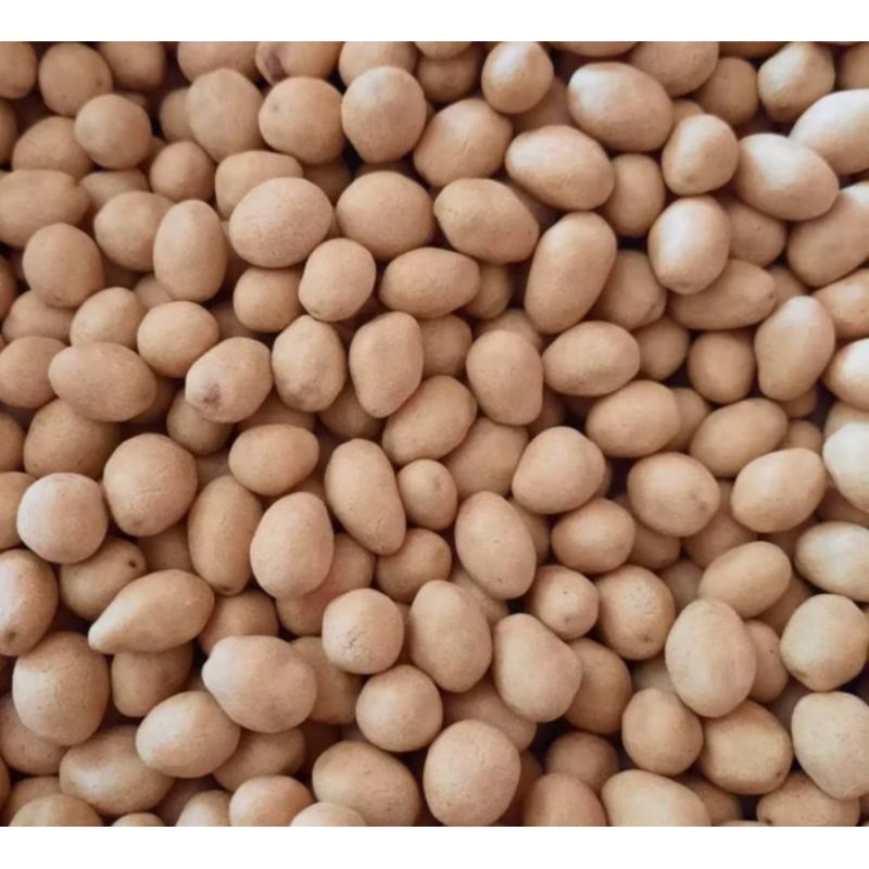 

Kacang Telur Atom Oven