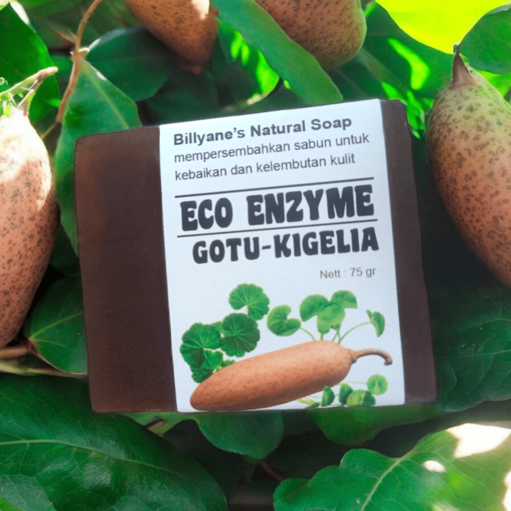 Sabun transparent Eco Enzyme Gotu-Kigelia