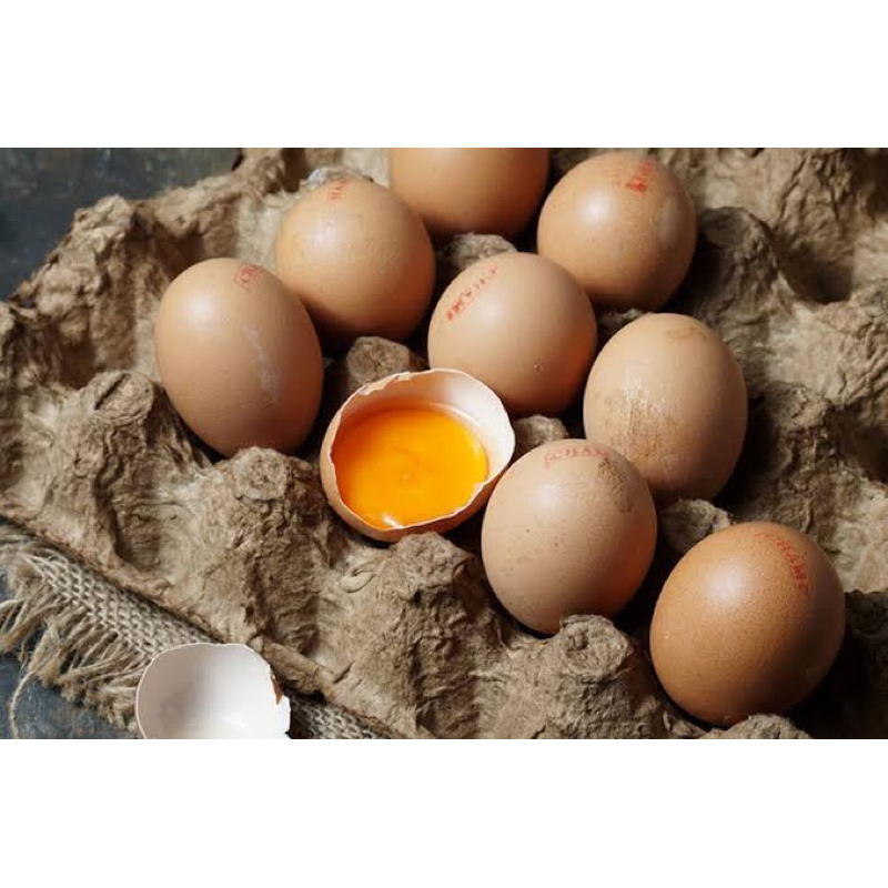 

telur ayam omega (1 tray / 30 butir)