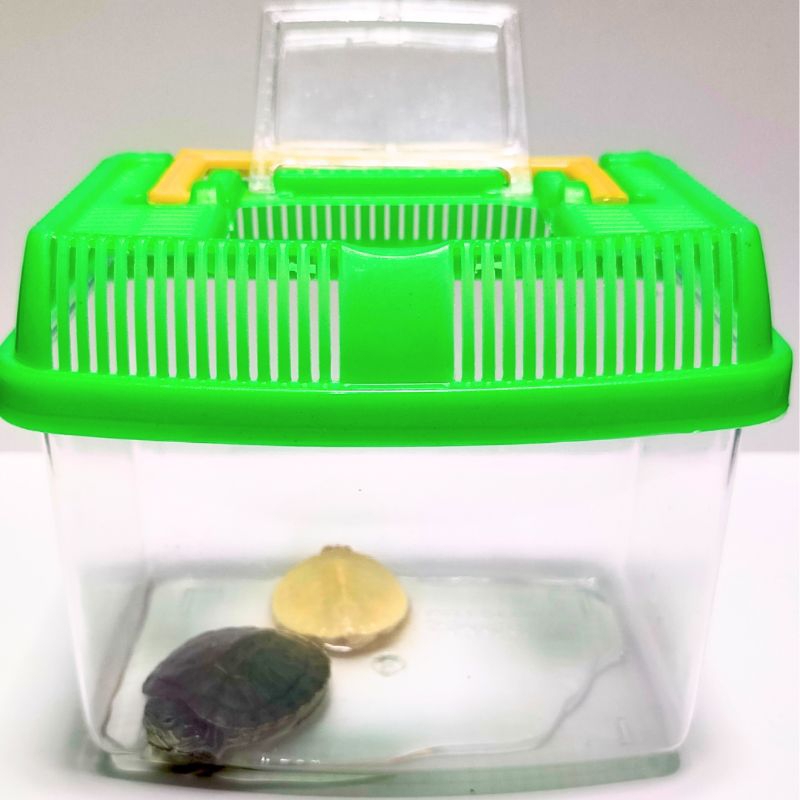 KANDANG MINI TERRARIUM KECIL AQUATIC ACRYLICKURA AIR HAMSTER GECKO