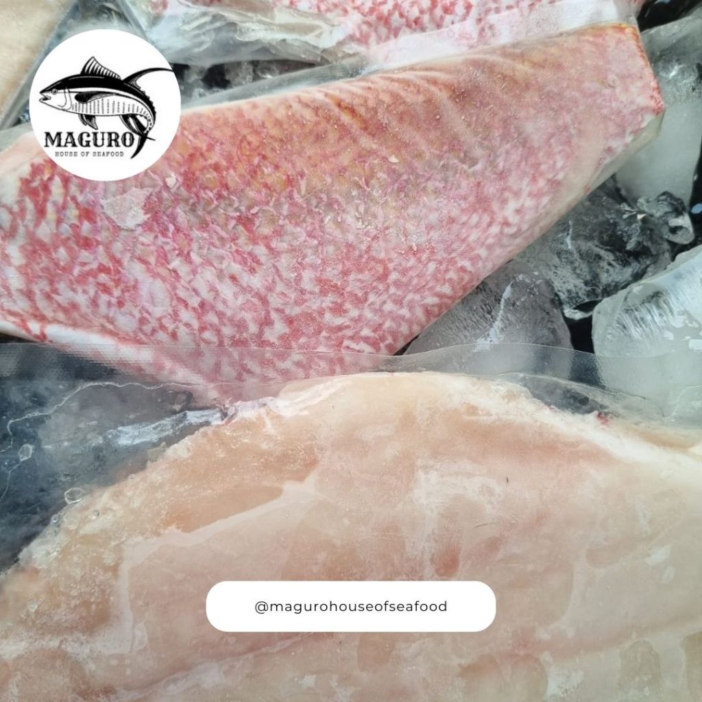 

Kakap Merah Fillet Premium