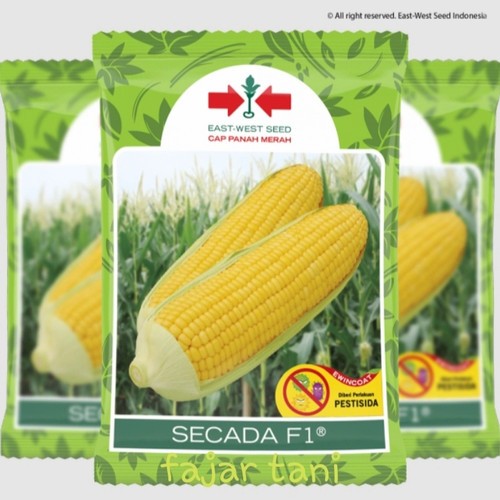 

PROMO !!! Benih Jagung SECADA FI 88 Kemasan Baru Isi 1750 Butir