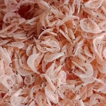 

udang rebon medan super 500 gr
