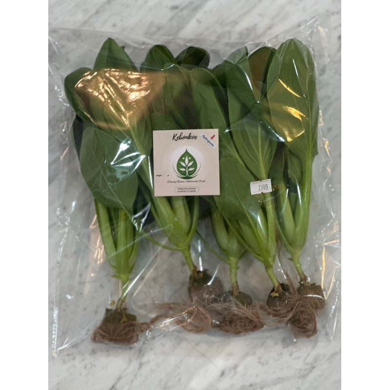 

Pakchoy Sayuran Hydroponic Greenhouse per 250g