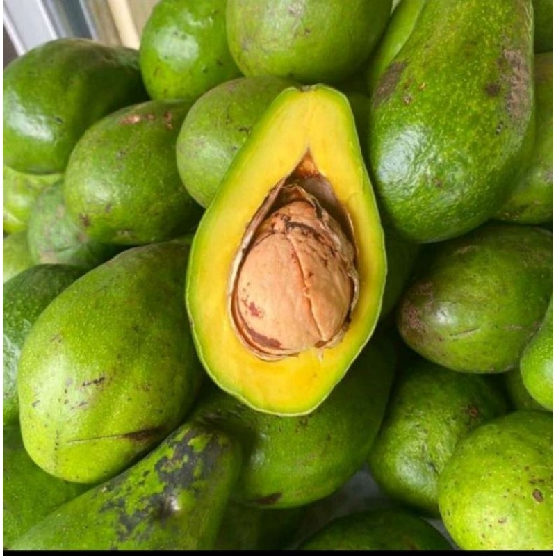 

BUAH FRESH Alpukat | Segar & Fresh | BUAH Premium