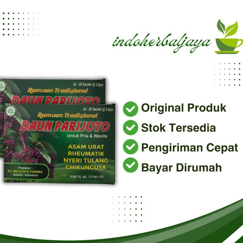 

Ramuan Tradisional Daun Parijoto Kapsul