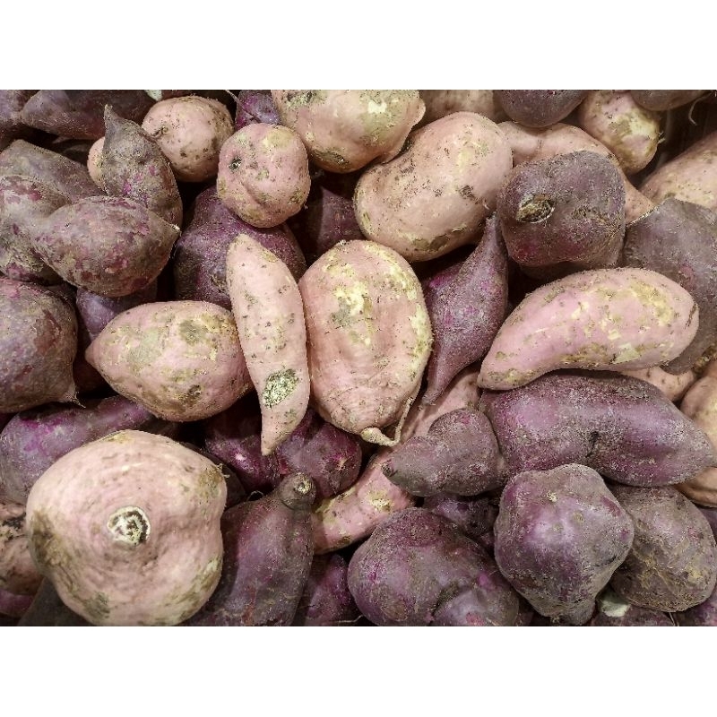 

Ubi jalar 1 kg fresh