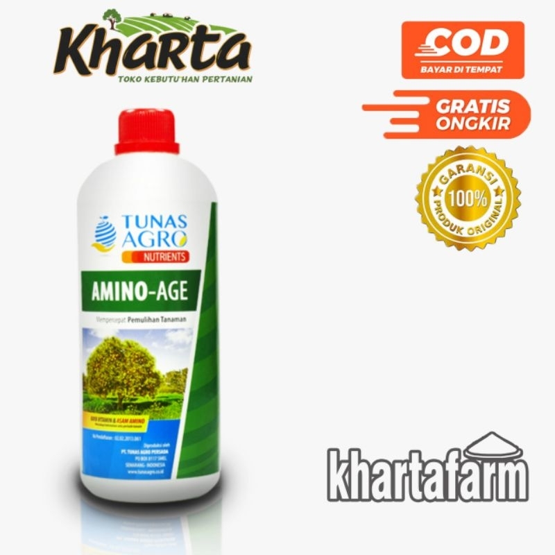 AMINO AGE 1 LITER ORIGINAL ASAM AMINO