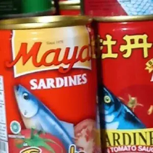 

sarden maya besar