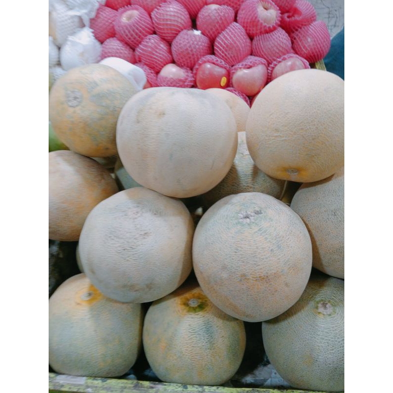 

Melon hijau manis(1 buah)