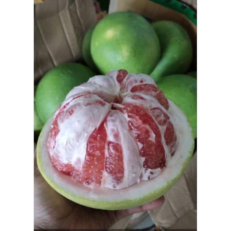 

paket hemat 3 jeruk pamelo madu muria berat 1,5kg-1,7kg