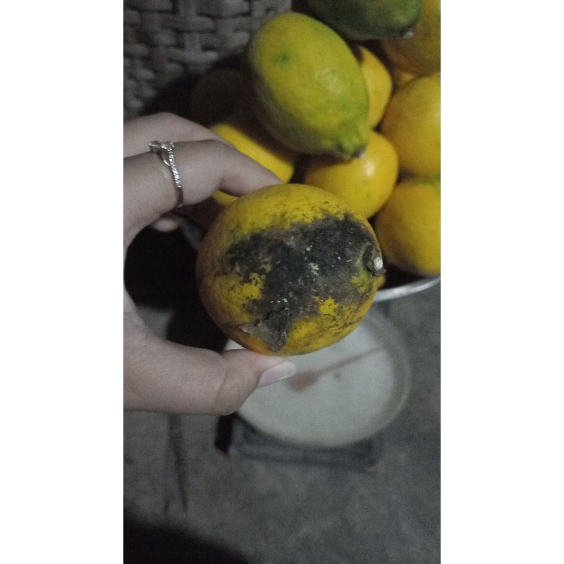 Lemon California 1kg