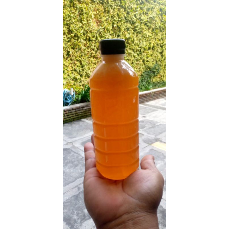 

madu Apis dorsata jatim