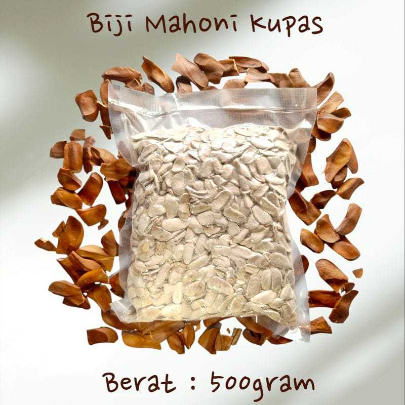 

Biji mahoni kering kupas 500 gram biji mahuni kupas
