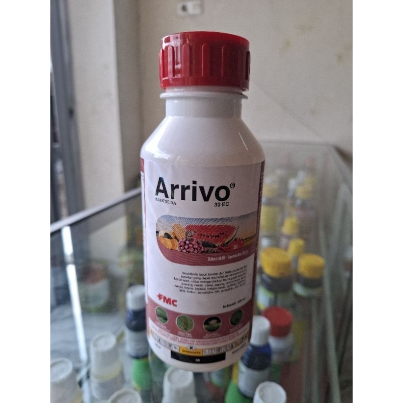 ARRIVO 30 EC - 500 ML