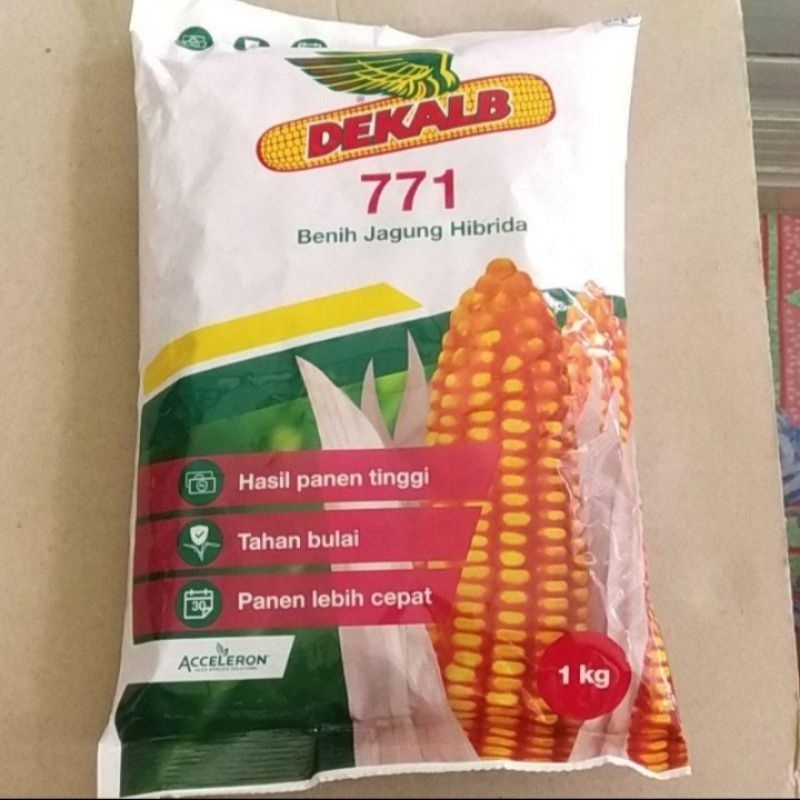 Bibit Jagung Dekalb 771 5 Kilo