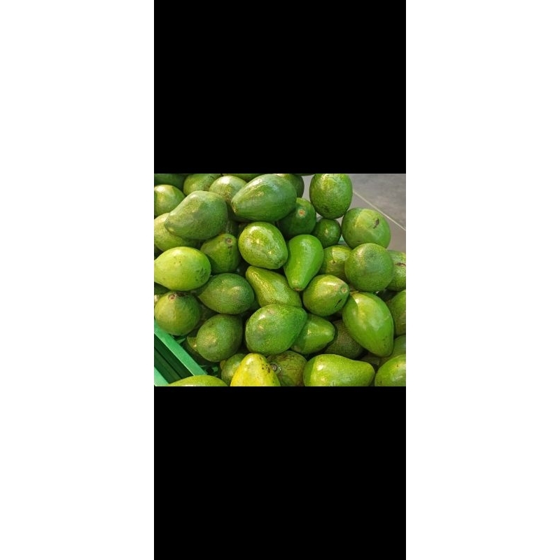 

Alpukat Mentega 1 Kg