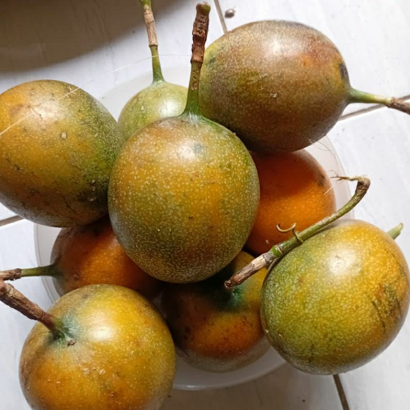 

jual 1 kg buah markisa madu /konyal madu super manis dan segar marasi