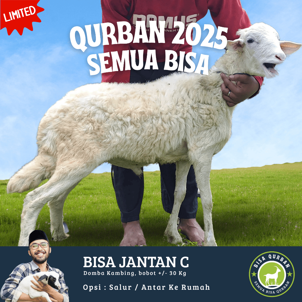 

Hewan Qurban Kambing Domba Qurban Kurban Hidup Bobot 30kg Kirim Bisa Qurban