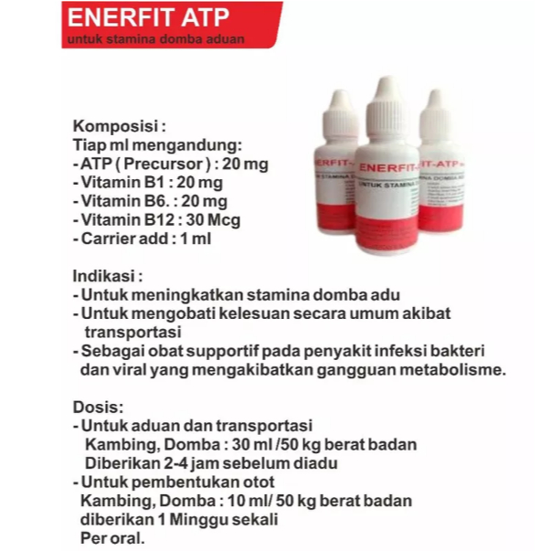 Enerfit ATP Oral Meyer 30 mL - Obat Stamina Domba Adu