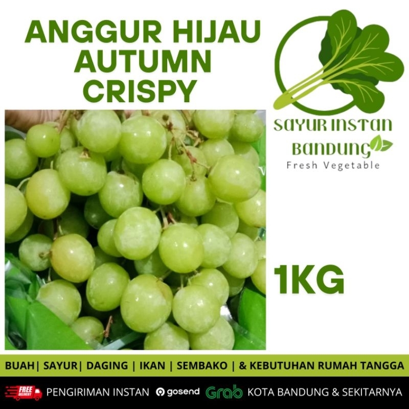 ANGGUR HIJAU AUTUMN CRISPY | ANGGUR FRESH
