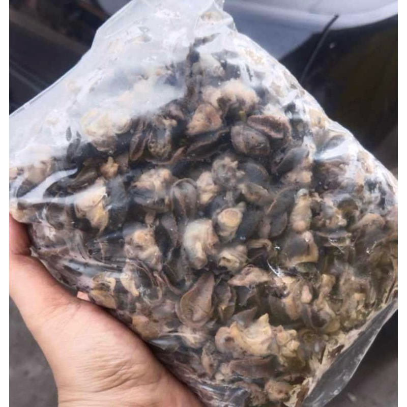 

Bekecot Premium +-1kg