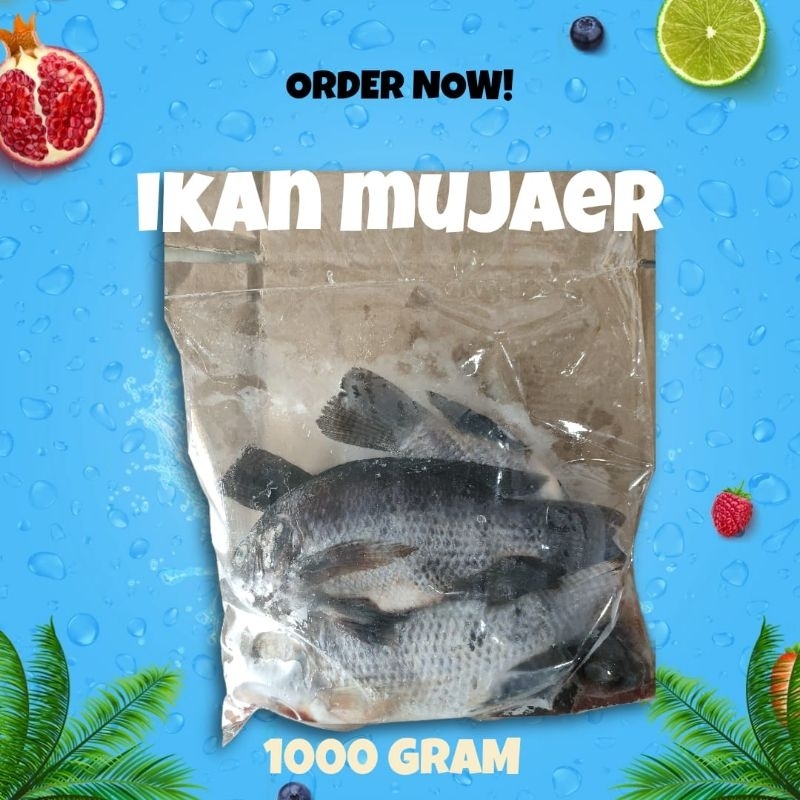 

IKAN MUJAER 1KG