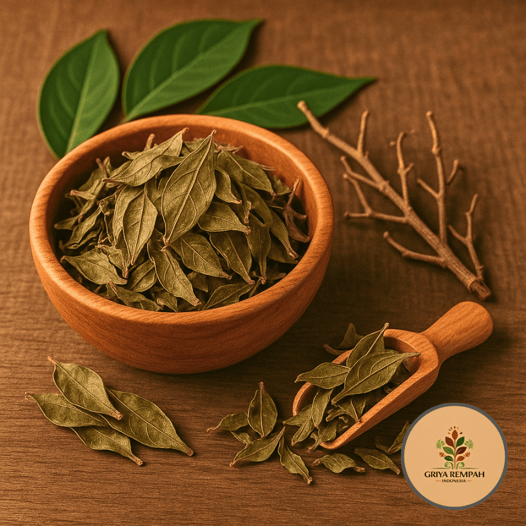 

DAUN MELINJO KERING 500 GRAM Godong So Mlinjo Rempah Herbal Simplisia Alami Ramuan Jamu Tradisional Asam Urat Antioksidan dan Daya Tahan Tubuh Gnetum gnemon