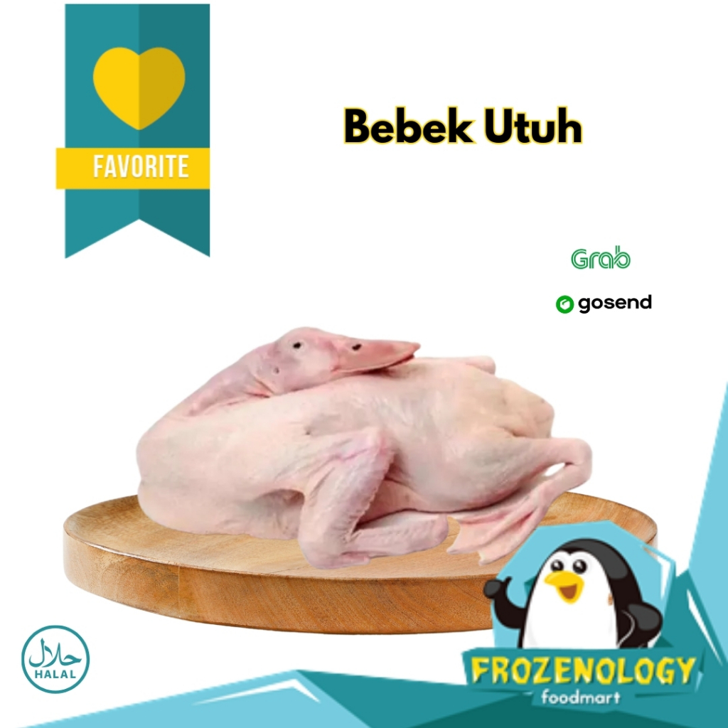 

Bebek Hibrida Utuh Karkas 1 Ekor | Duck Whole Frozen KG