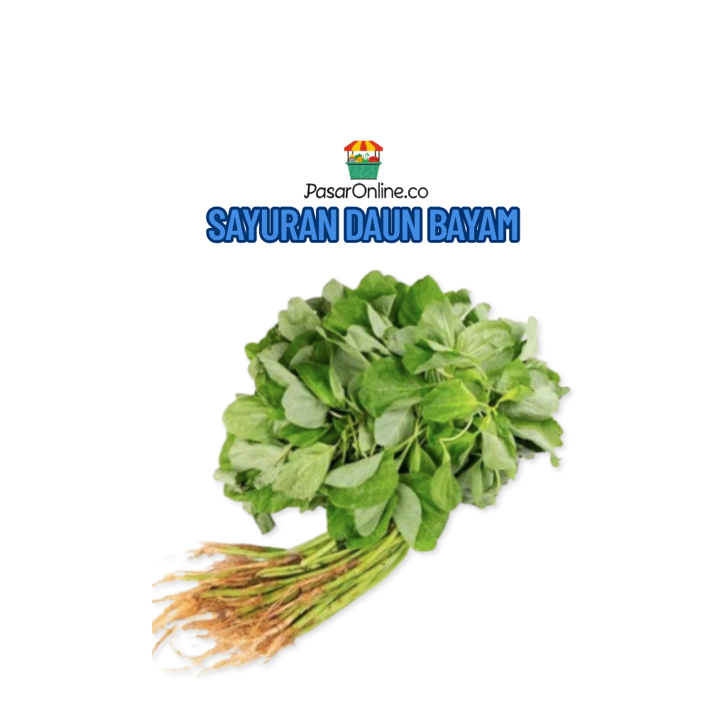 

Sayuran Segar Daun Bayam Ikat