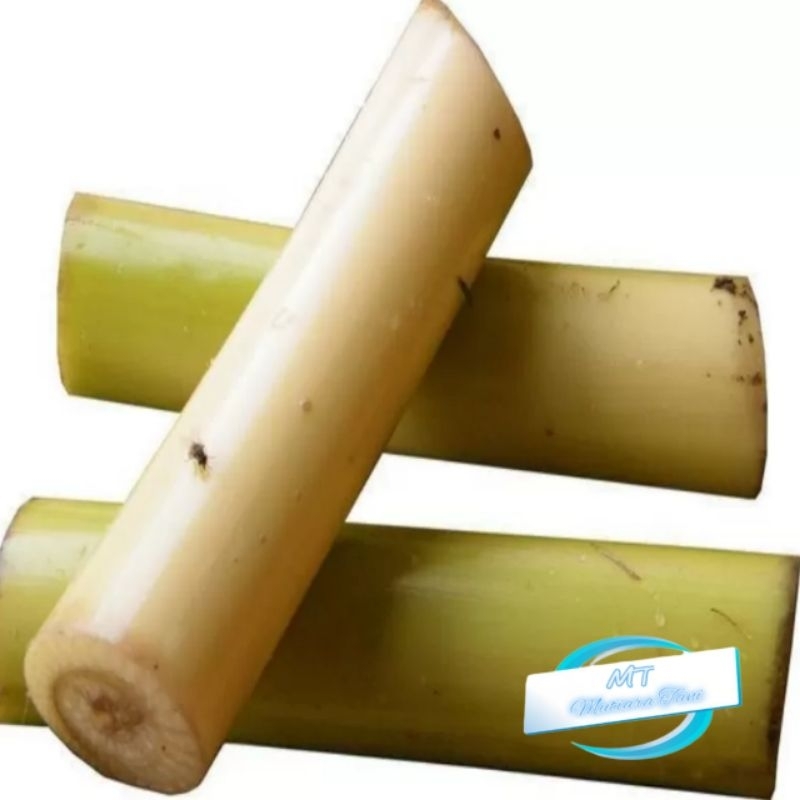 

batang pisang / gedebong pisang / ati batang pisang segar ( herbal ) 1kg